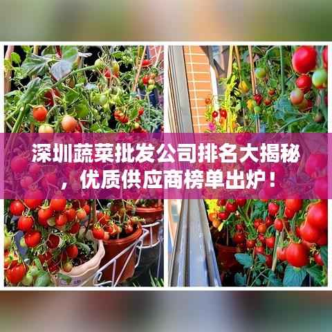 深圳蔬菜批发公司排名大揭秘，优质供应商榜单出炉！