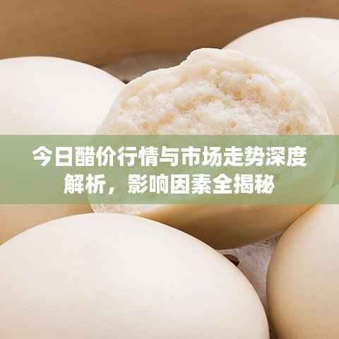 今日醋价行情与市场走势深度解析，影响因素全揭秘