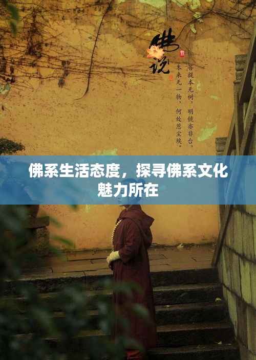 佛系生活态度,探寻佛系文化魅力所在