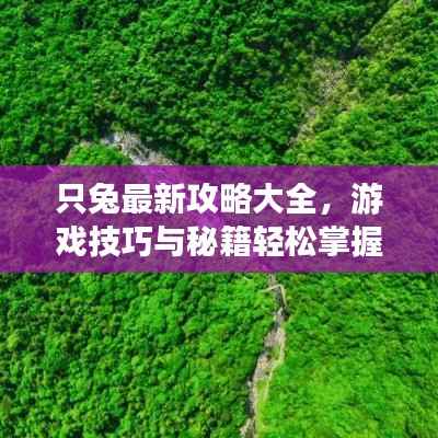 只兔最新攻略大全,游戏技巧与秘籍轻松掌握