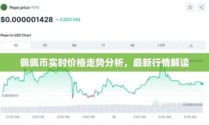 佩佩币实时价格走势分析,最新行情解读