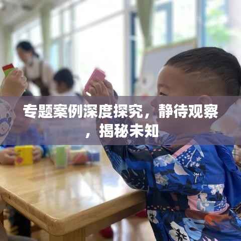 专题案例深度探究,静待观察,揭秘未知