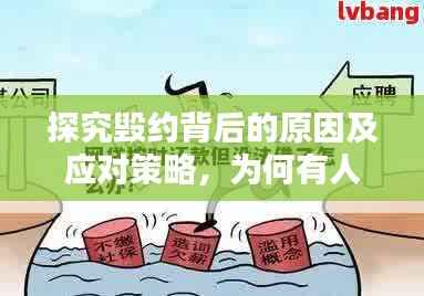 探究毁约背后的原因及应对策略,为何有人频繁违约?
