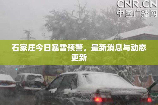 石家庄今日暴雪预警，最新消息与动态更新