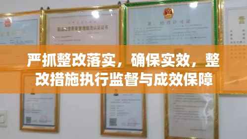 严抓整改落实,确保实效,整改措施执行监督与成效保障