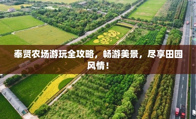 奉贤农场游玩全攻略,畅游美景,尽享田园风情!