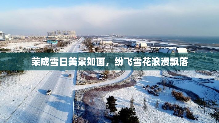 荣成雪日美景如画,纷飞雪花浪漫飘落