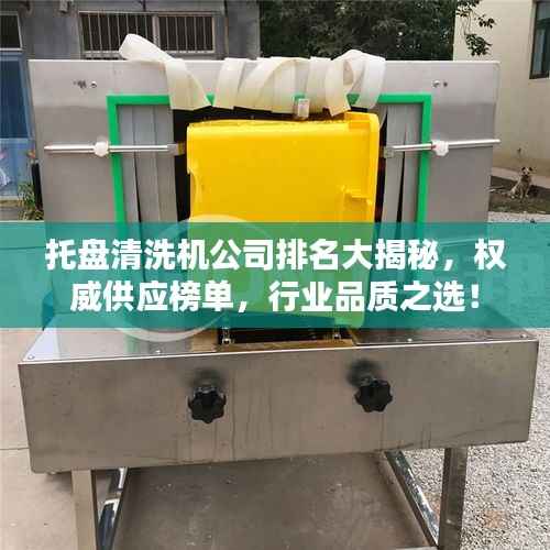 托盘清洗机公司排名大揭秘,权威供应榜单,行业品质之选!