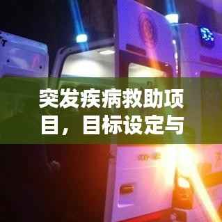 突发疾病救助项目,目标设定与实现之道