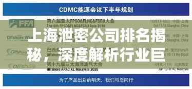 上海泄密公司排名揭秘,深度解析行业巨头