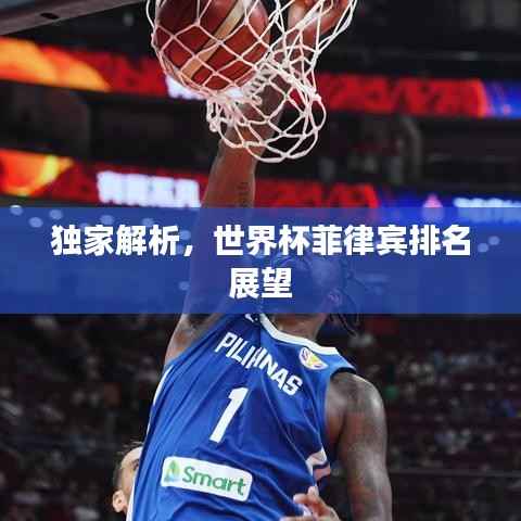 独家解析,世界杯菲律宾排名展望