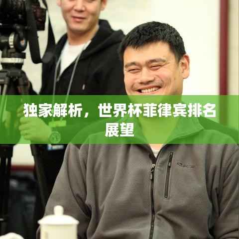 独家解析,世界杯菲律宾排名展望