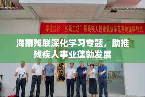 海南残联深化学习专题,助推残疾人事业蓬勃发展