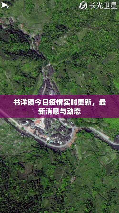 书洋镇今日疫情实时更新,最新消息与动态