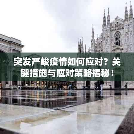 突发严峻疫情如何应对?关键措施与应对策略揭秘!