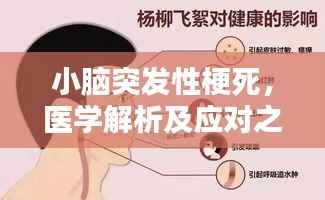 小脑突发性梗死,医学解析及应对之策