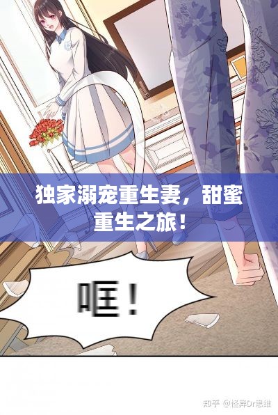 独家溺宠重生妻,甜蜜重生之旅!