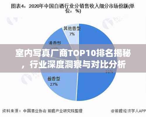室内写真厂商TOP10排名揭秘,行业深度洞察与对比分析