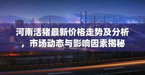 河南活猪最新价格走势及分析,市场动态与影响因素揭秘