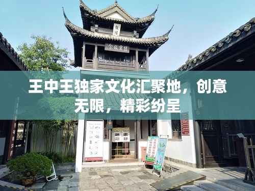 王中王独家文化汇聚地,创意无限,精彩纷呈