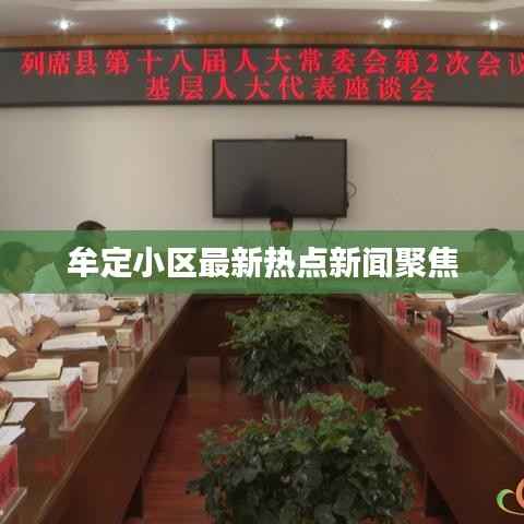 牟定小区最新热点新闻聚焦