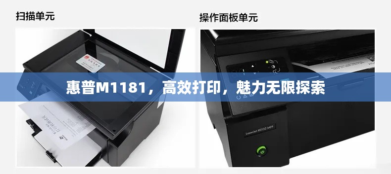 惠普M1181,高效打印,魅力无限探索