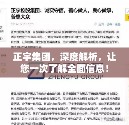 正宇集团,深度解析,让您一次了解全面信息!