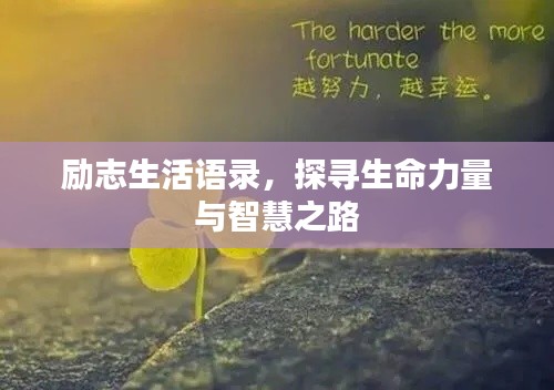 励志生活语录,探寻生命力量与智慧之路