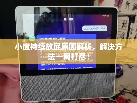 小度持续放屁原因解析,解决方法一网打尽!