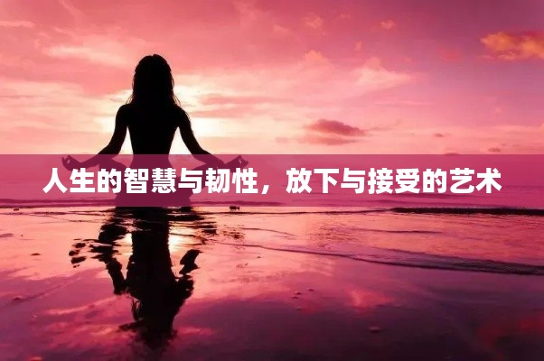 人生的智慧与韧性,放下与接受的艺术