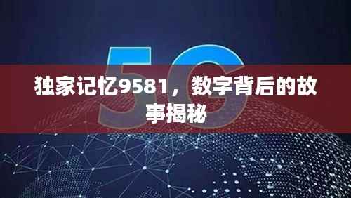 独家记忆9581,数字背后的故事揭秘