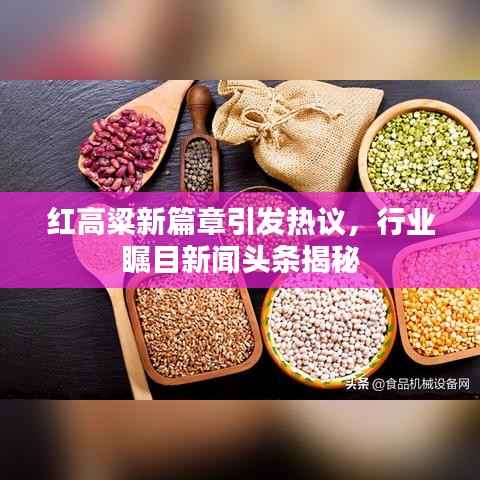 红高粱新篇章引发热议,行业瞩目新闻头条揭秘