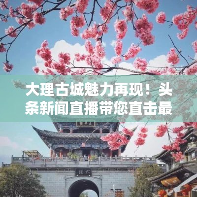 大理古城魅力再现!头条新闻直播带您直击最新动态