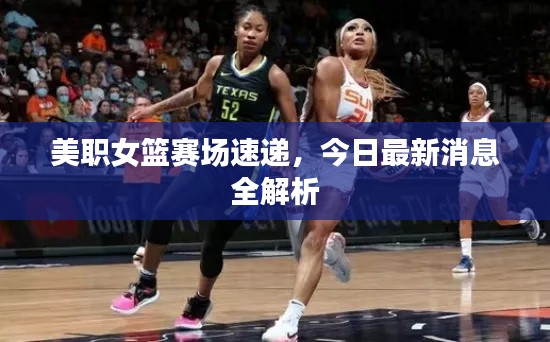 美职女篮赛场速递,今日最新消息全解析