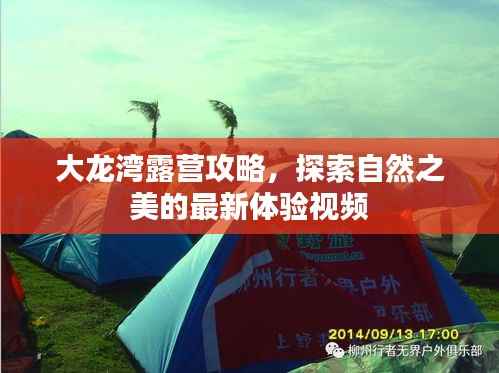 大龙湾露营攻略,探索自然之美的最新体验视频