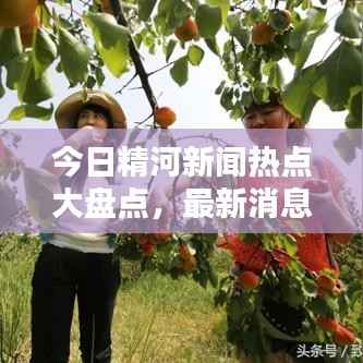 今日精河新闻热点大盘点,最新消息综述