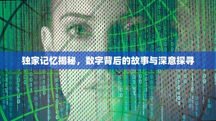 独家记忆揭秘,数字背后的故事与深意探寻