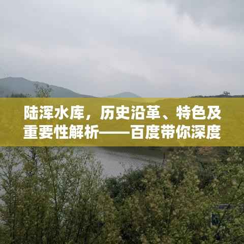 陆浑水库,历史沿革、特色及重要性解析——百度带你深度探索