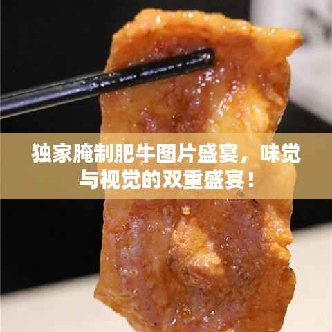 独家腌制肥牛图片盛宴,味觉与视觉的双重盛宴!
