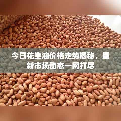 今日花生油价格走势揭秘,最新市场动态一网打尽