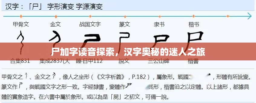 尸加字读音探索,汉字奥秘的迷人之旅