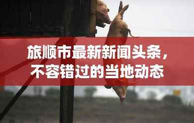 旅顺市最新新闻头条,不容错过的当地动态