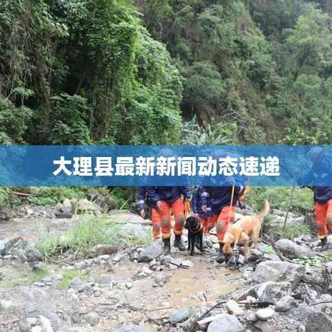 大理县最新新闻动态速递