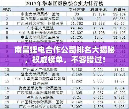 南昌锂电合作公司排名大揭秘,权威榜单,不容错过!