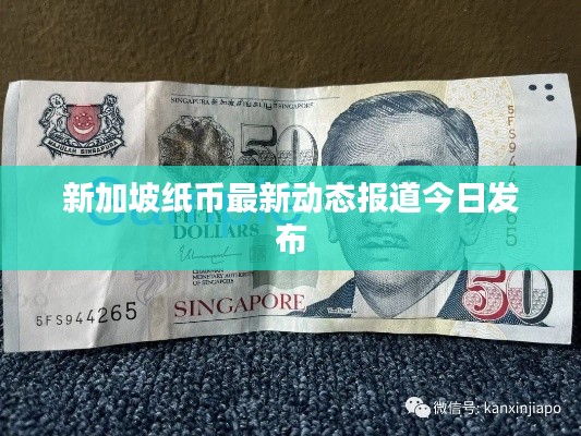 新加坡纸币最新动态报道今日发布