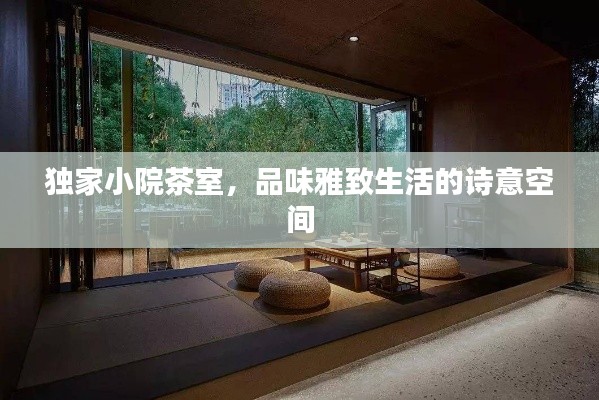 独家小院茶室,品味雅致生活的诗意空间