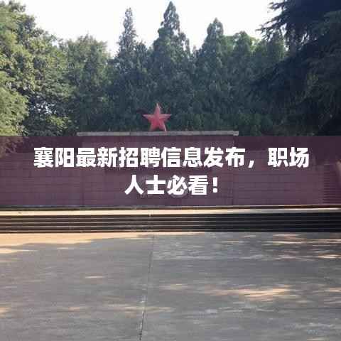 襄阳最新招聘信息发布,职场人士必看!