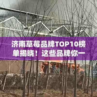 济南草莓品牌TOP10榜单揭晓!这些品牌你一定不能错过!