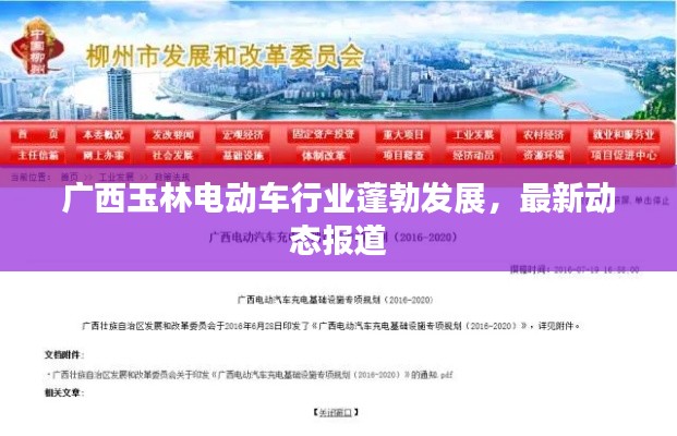 广西玉林电动车行业蓬勃发展,最新动态报道