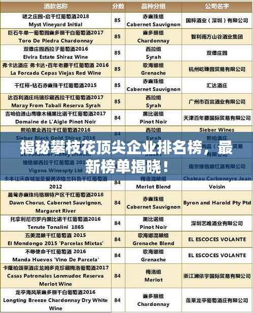 揭秘攀枝花顶尖企业排名榜,最新榜单揭晓!